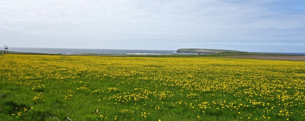 DSC00934