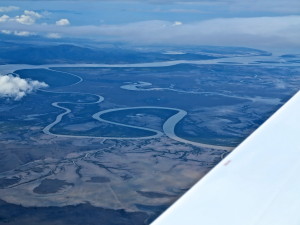 IMG_1528