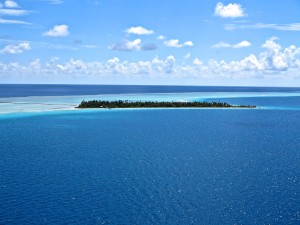 IMG_4269