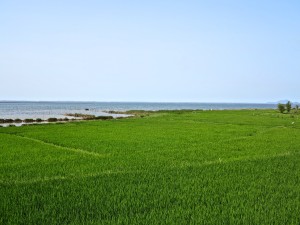 IMG_5286